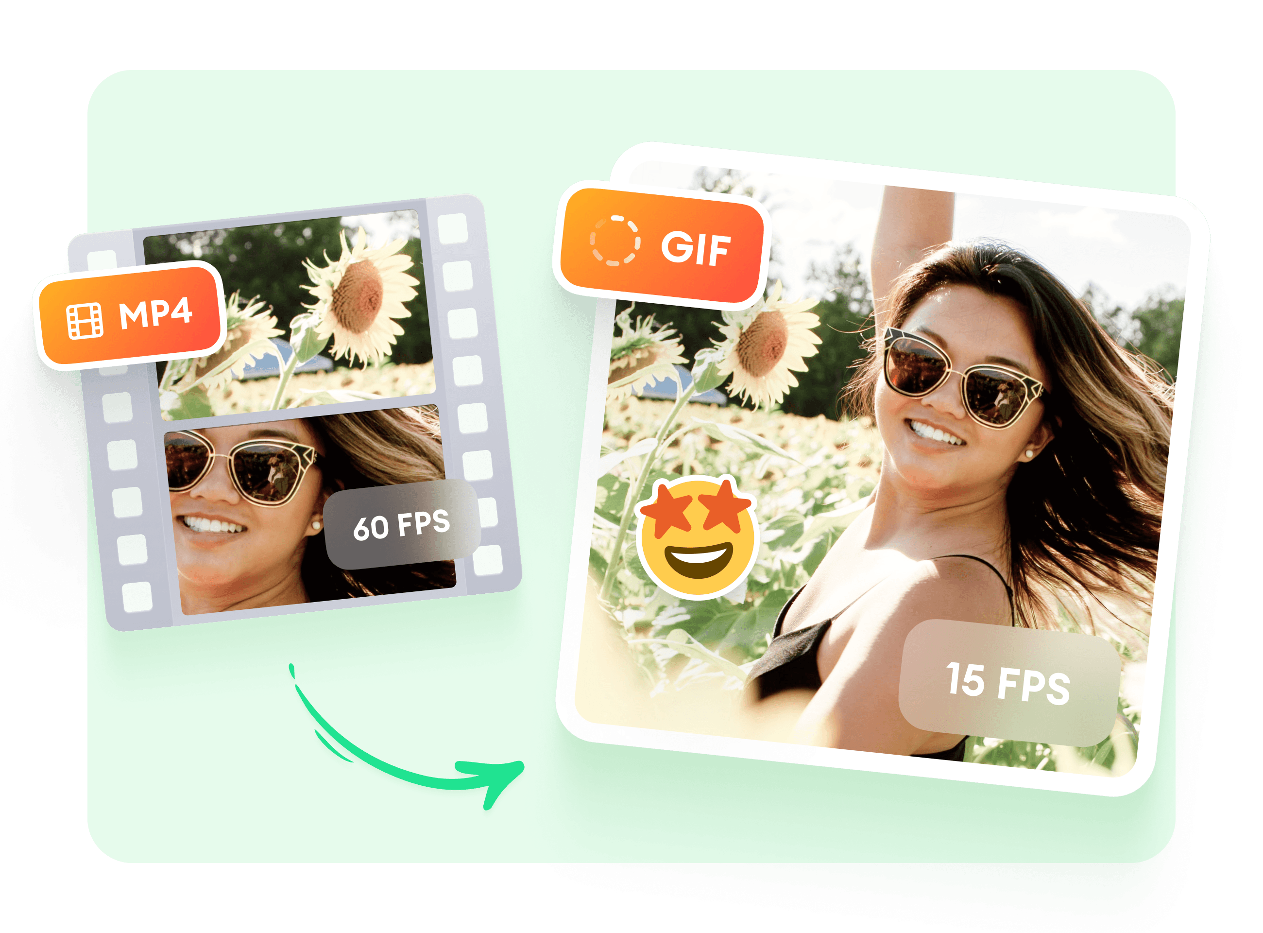Animated GIFs