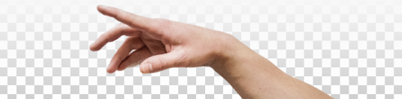 Export (4).png