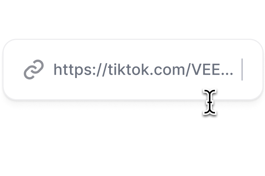 Paste a TikTok video URL.png