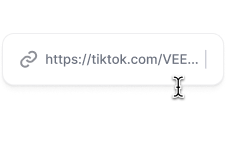 Paste a video URL.png
