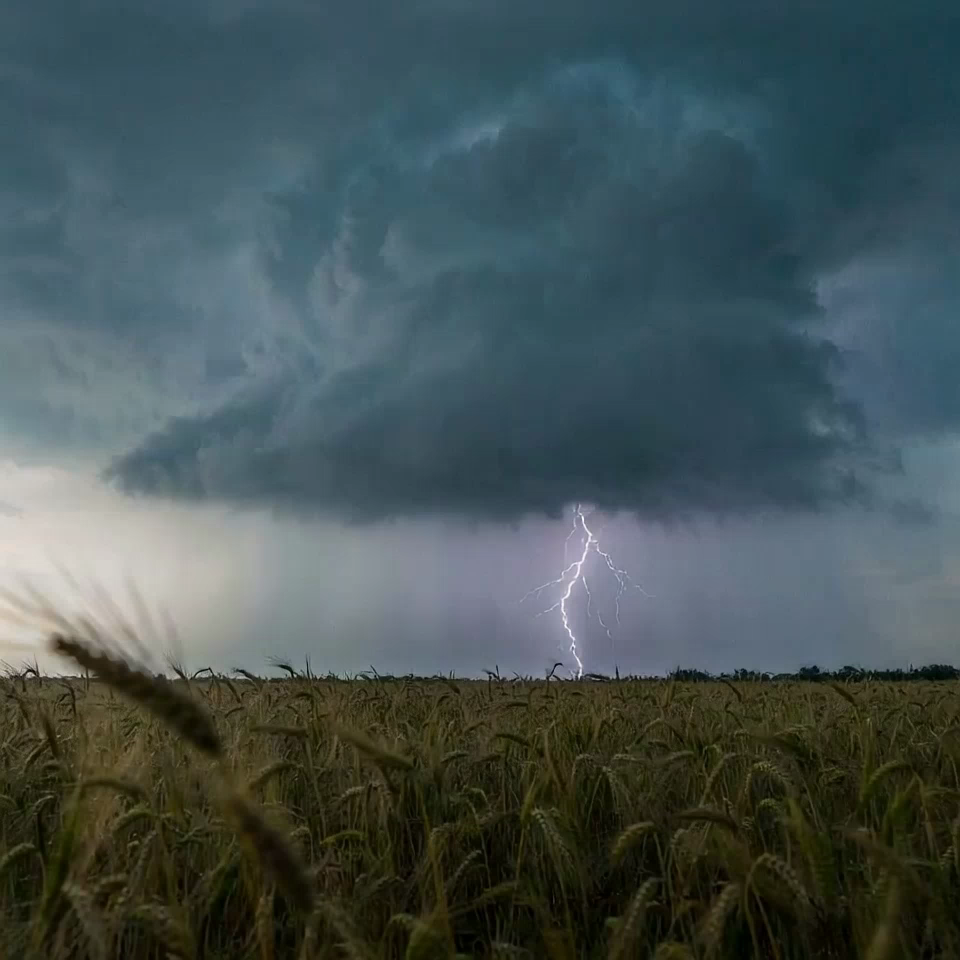 A dark storm cloud rolling over a golden wheat field