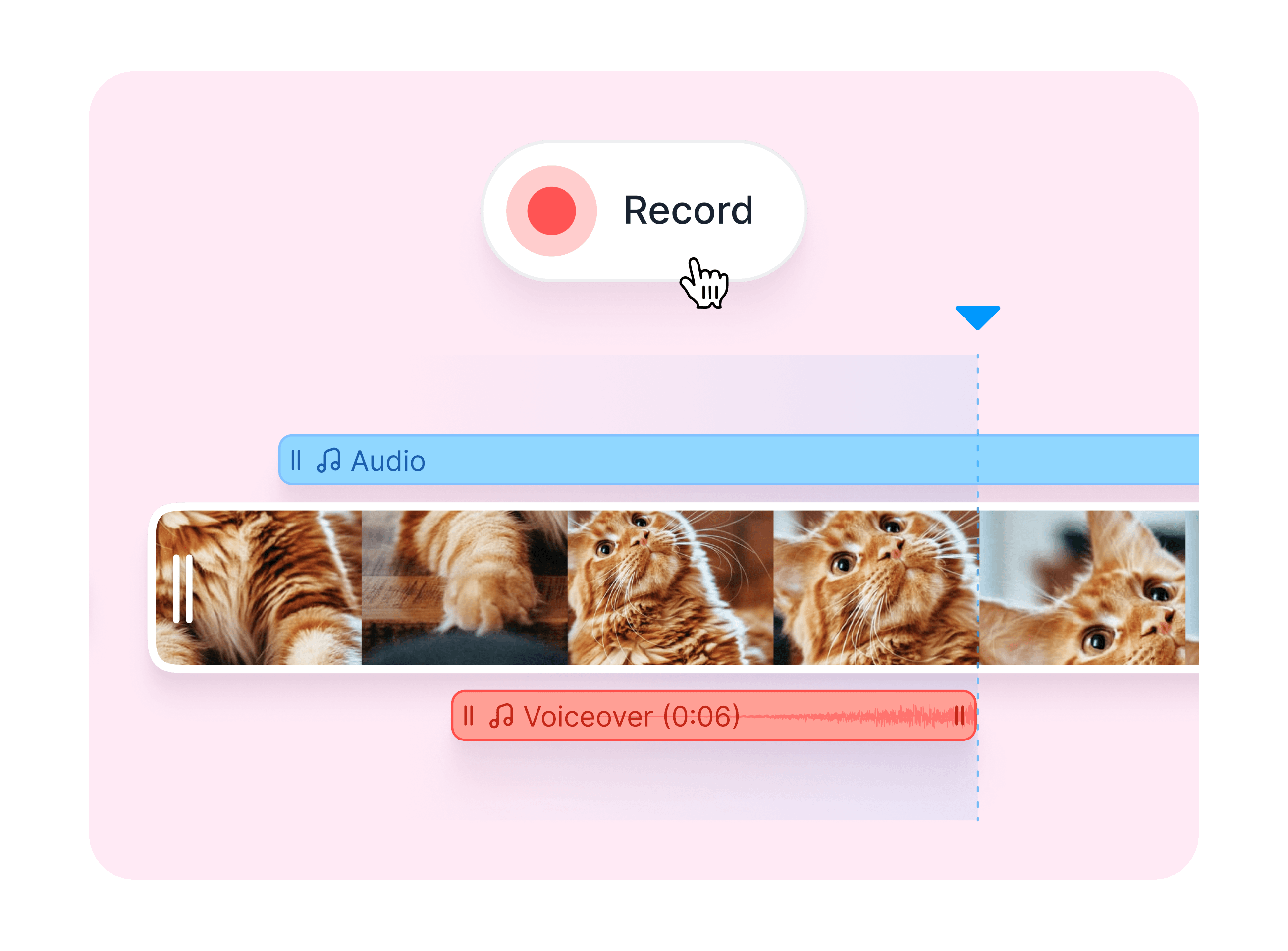 Video Voiceovers