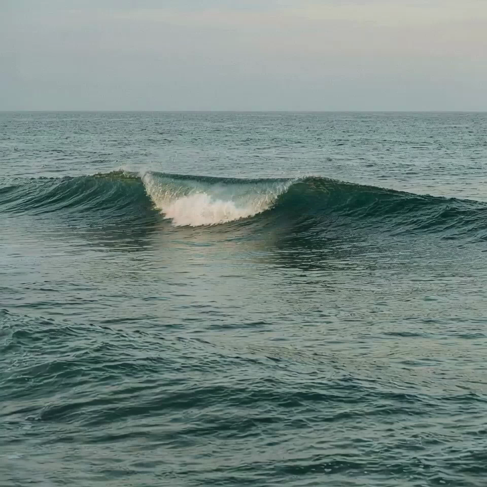 A single wave cresting on the open sea under an overcast sky