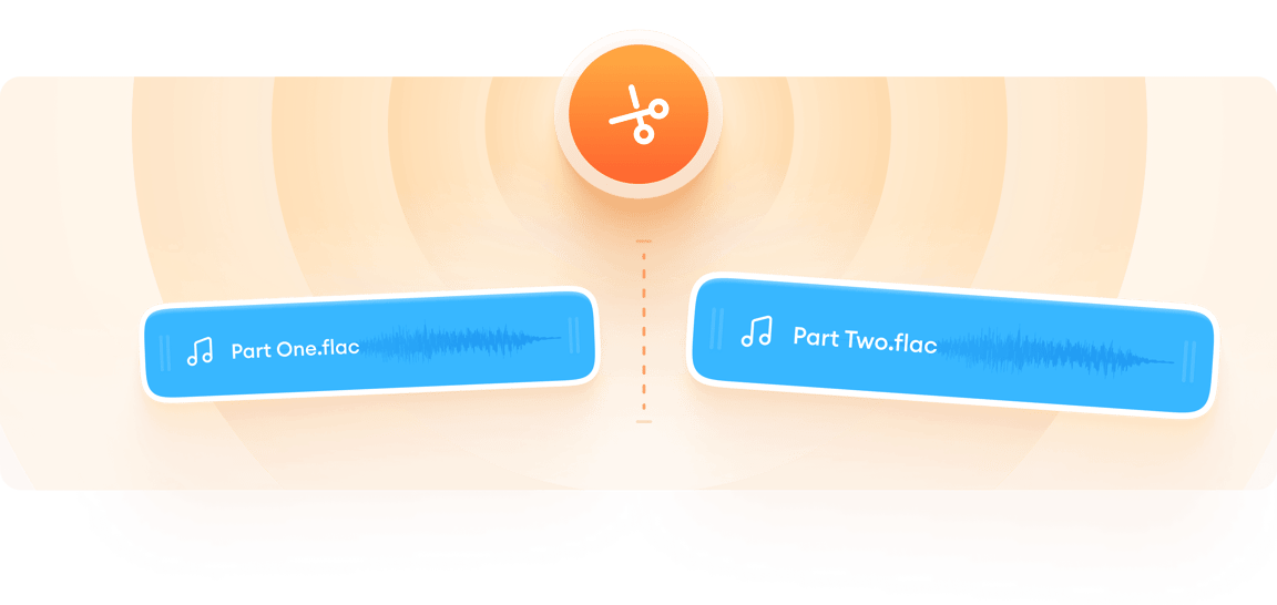 FLAC Splitter