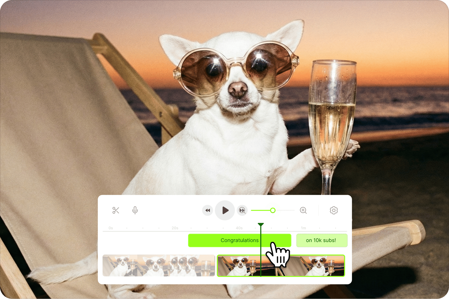 GIF maker tool interface showing an editing timeline over a video of a chihuahua in sunglasses holding a glass on a beach