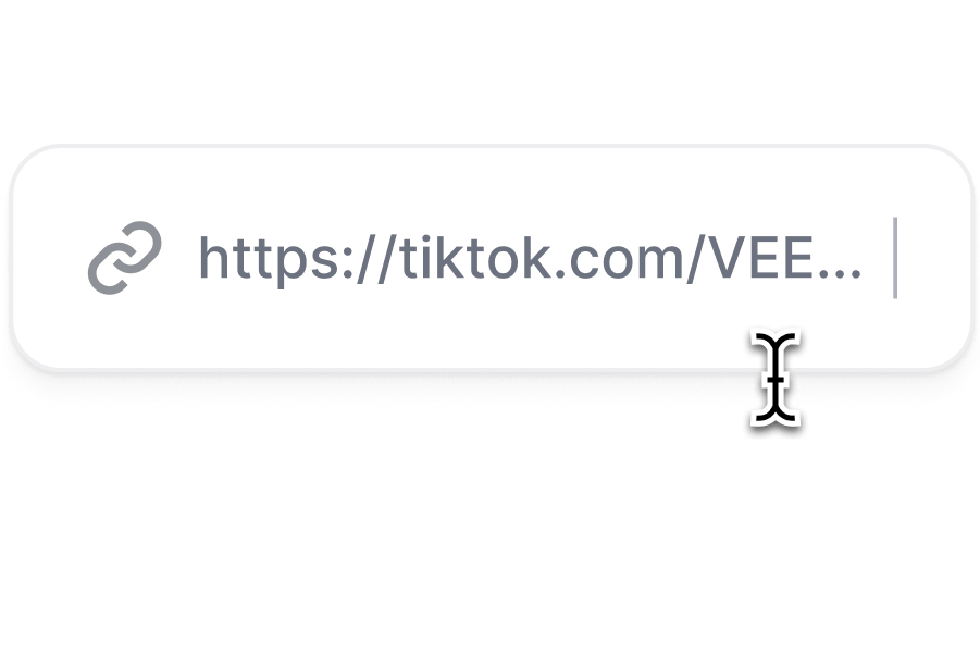 Paste a TikTok video URL.png