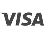 Visa logo