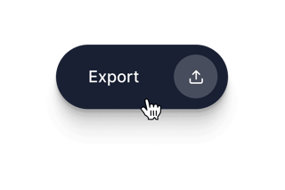 Export Looped Video