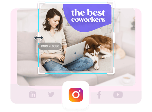 Optimize your business videos for social media.png