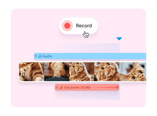 Video Voiceovers