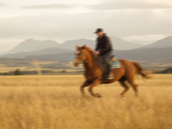 Blurry photo of a rider galloping a horse across a field