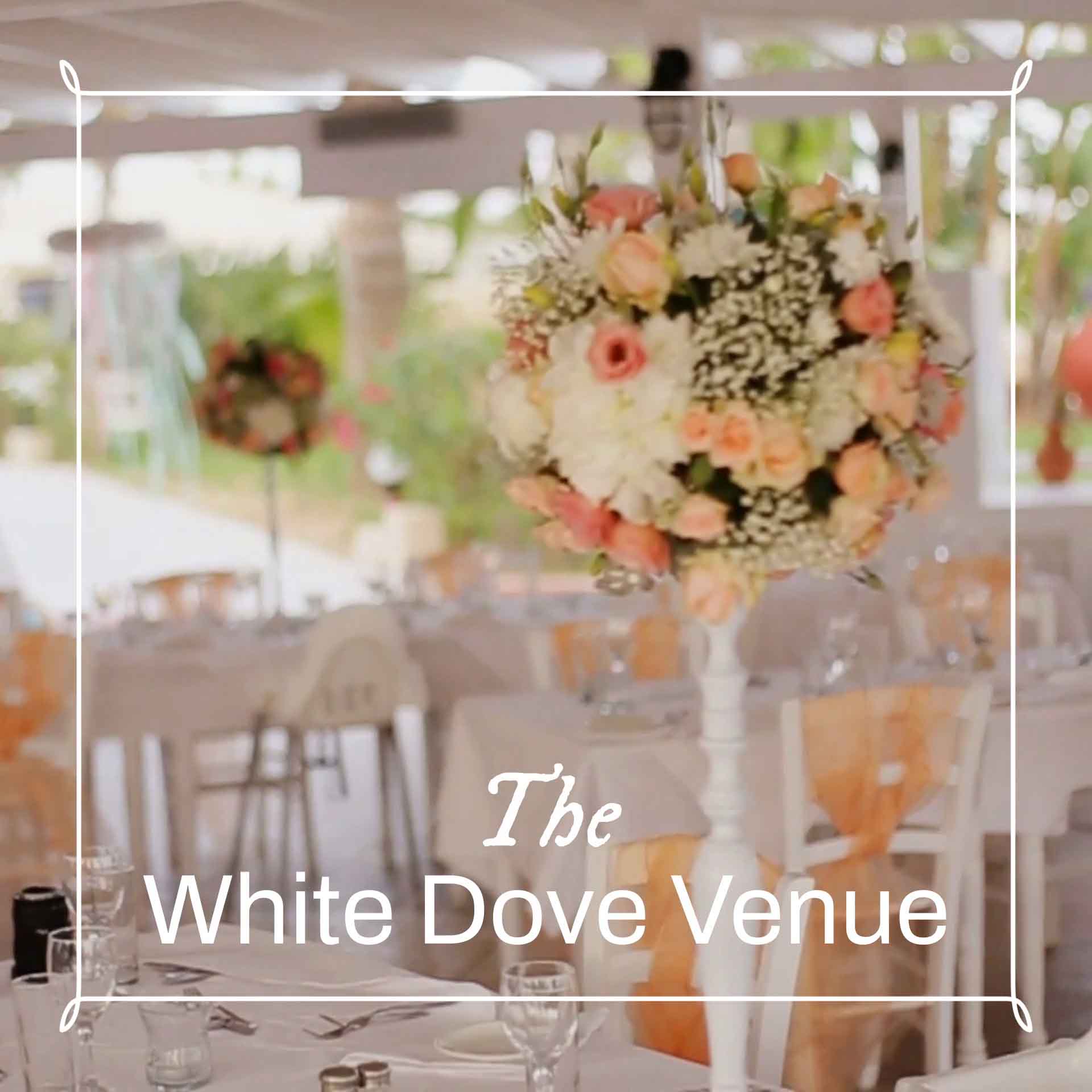venue promo square thumb v2.jpg